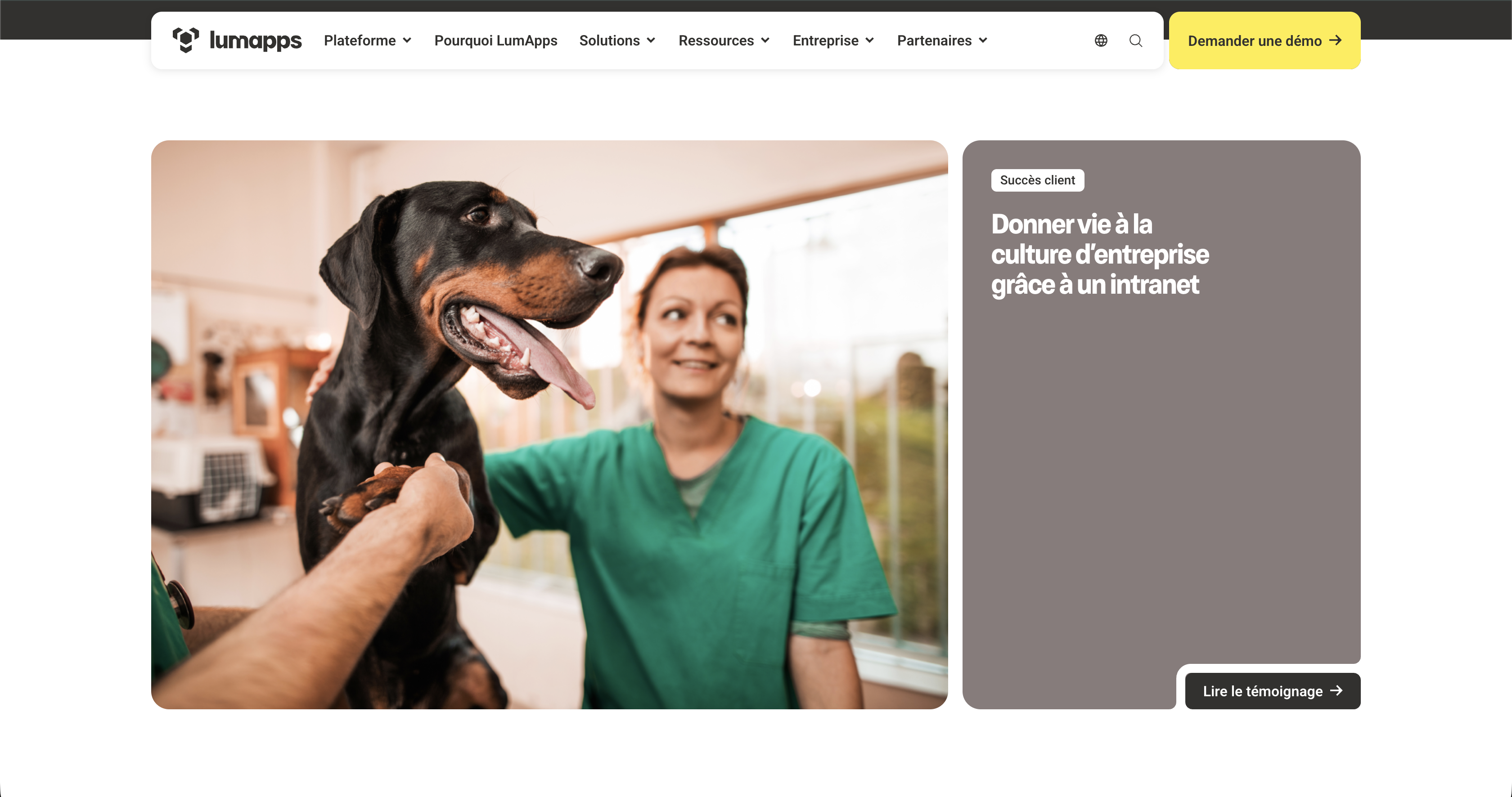 Lumapps